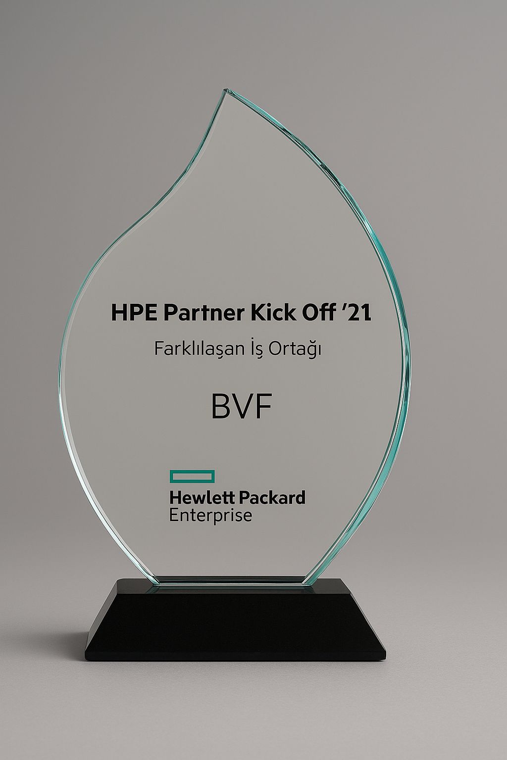 BVF, “Farklılaşan İş Ortağı” Ödülüne Layık Görüldü